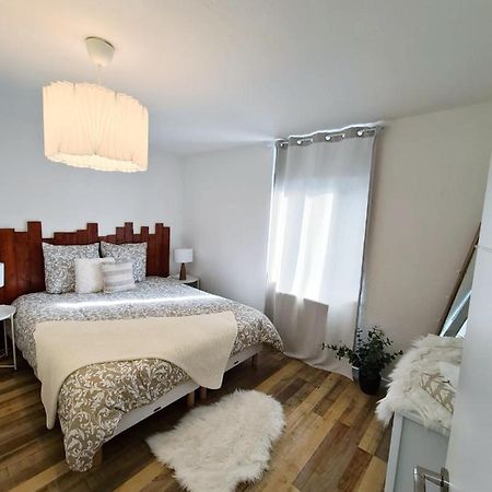 Le Raffine-Parking Prive-Proche Frontiere Bale Apartment Сен-Луи Екстериор снимка