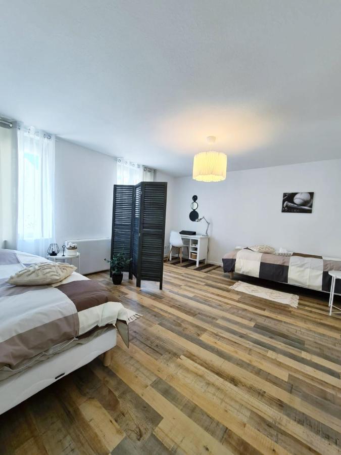 Le Raffine-Parking Prive-Proche Frontiere Bale Apartment Сен-Луи Екстериор снимка